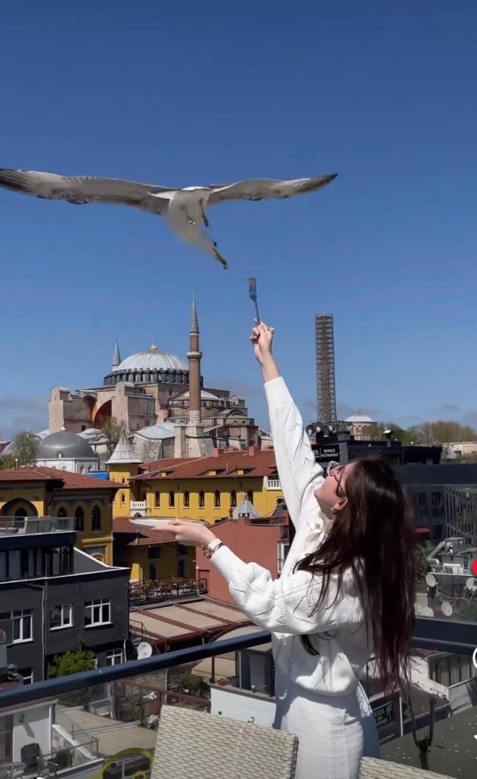 Byzantium Comfort Hotel Provincia di Provincia di Istanbul Esterno foto